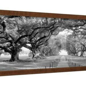 USA, Louisiana, New Orleans, brick path through alley of oak trees, Scenic Framed Art Print Wall Art Sold by Art.Com