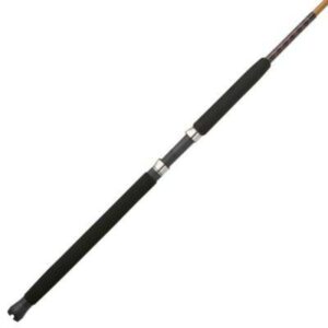 Ugly Stik Tiger® Casting Rod, 7' Medium Heavy Fishing Rod
