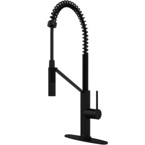 VIGO Livingston Single Handle Pull-Down Sprayer Kitchen Faucet Set with Deck Plate in Matte Black