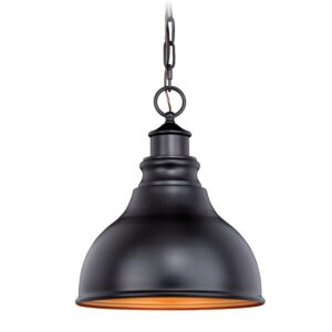 Delano 1 Light Bronze Gold Farmhouse Outdoor Barn Dome Pendant