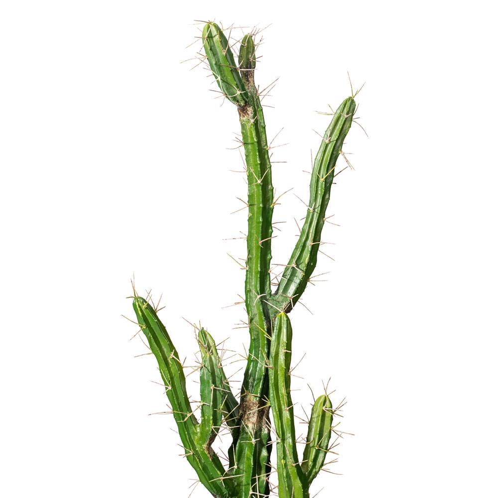 Vickerman 46" Artificial Green Cactus, Black Plastic Planters Pot. - Image 2
