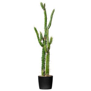 Vickerman 46" Artificial Green Cactus, Black Plastic Planters Pot.
