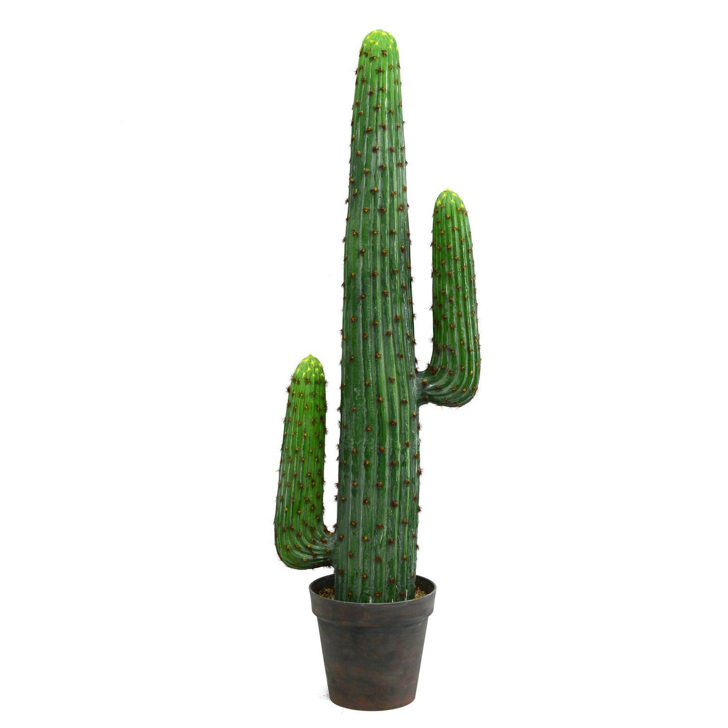 Vickerman 49" Artificial Cactus In Black Pot.