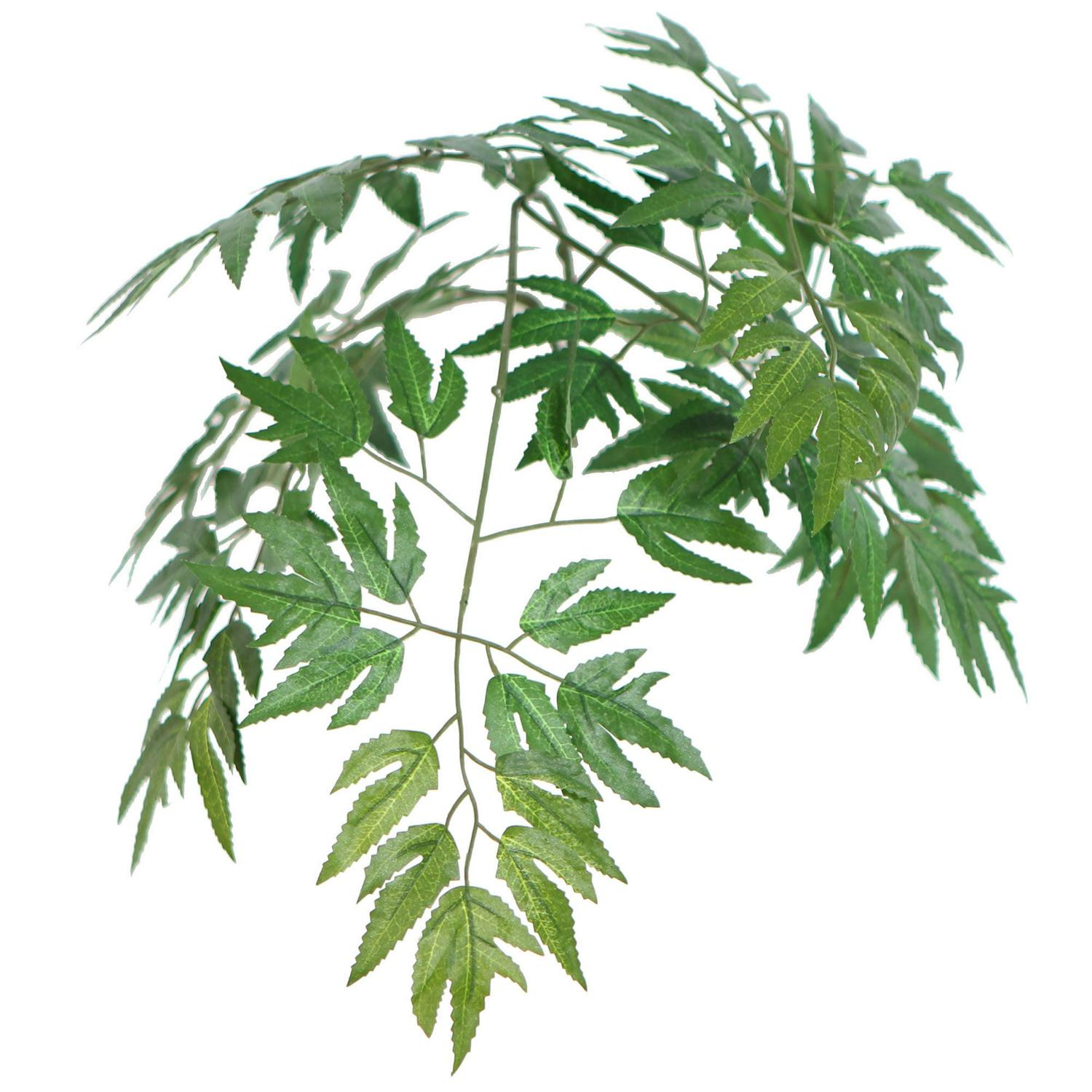 Vickerman 4' Artificial Ming Aralia Bush, Rattan Basket - Image 2