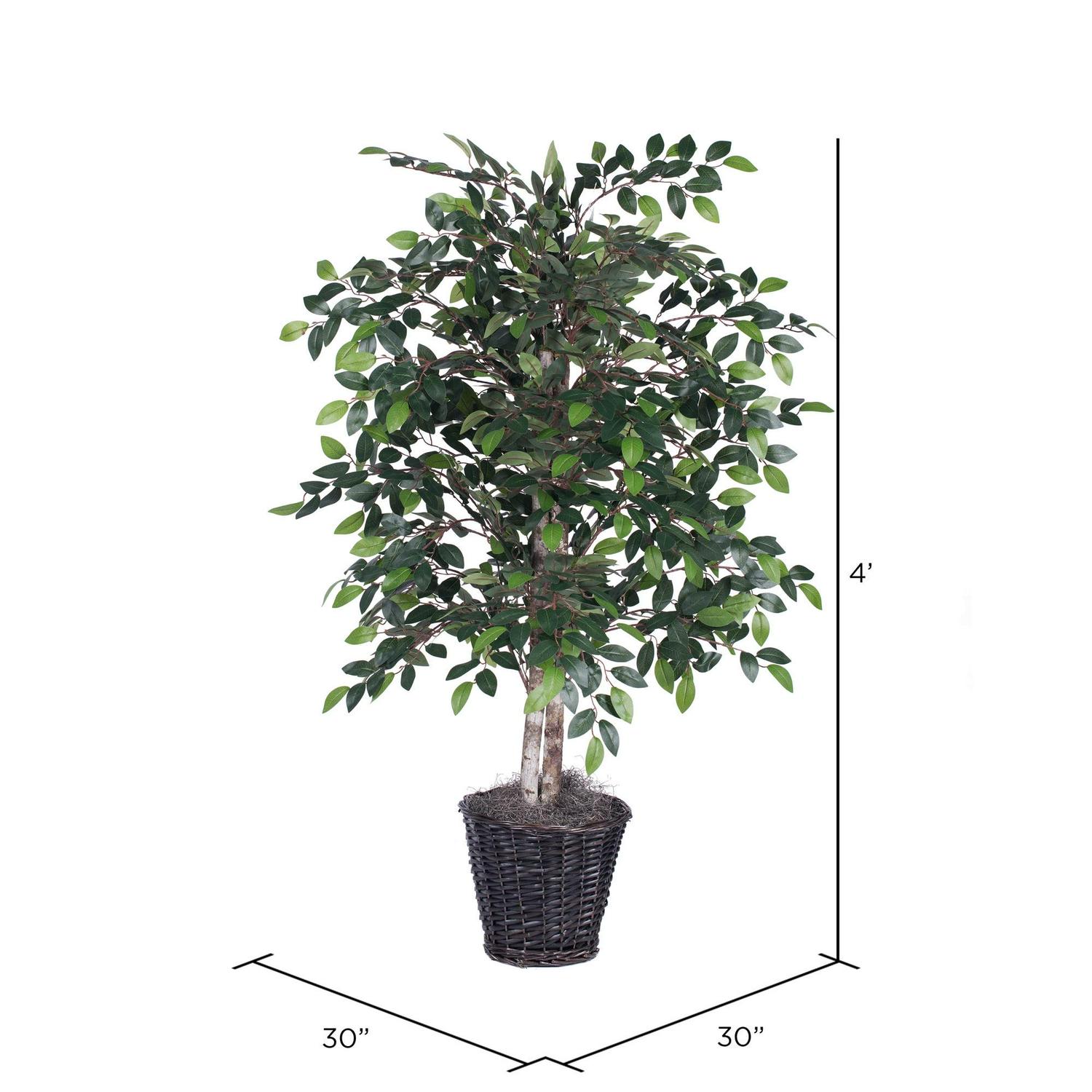 Vickerman 4' Artificial Mini Ficus Bush, Rattan Basket. - Image 2