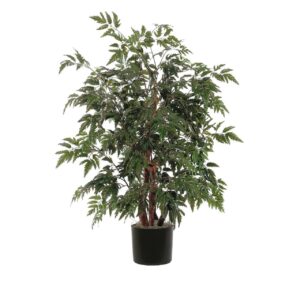 Vickerman 4' Artificial Ming Aralia Bush, Rattan Basket