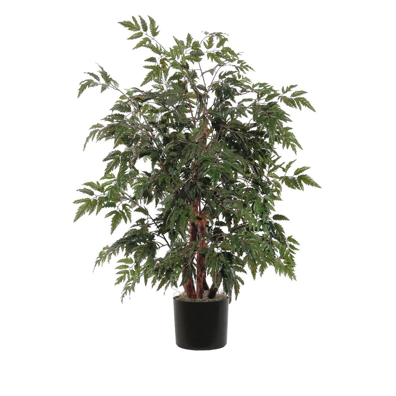Vickerman 4' Artificial Ming Aralia Bush, Rattan Basket