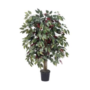 Vickerman 4' Artificial Capensia Bush, Black Plastic Pot.