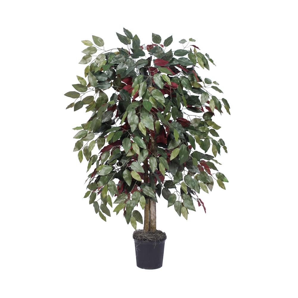 Vickerman 4' Artificial Capensia Bush, Black Plastic Pot.