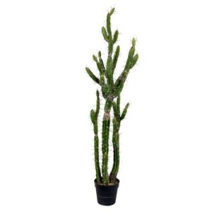 Vickerman 56.5" Artificial Green Cactus, Black Plastic Planters Pot.