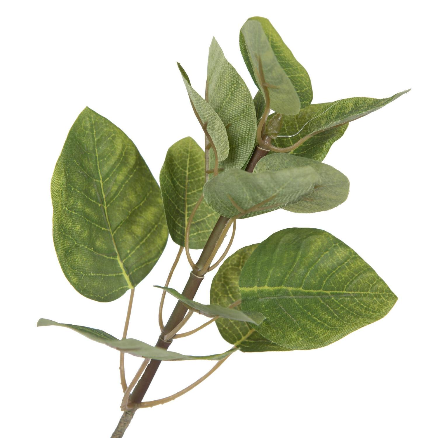 Vickerman 5' Artificial Green Potted Cotinus Coggygria Tree. - Image 2