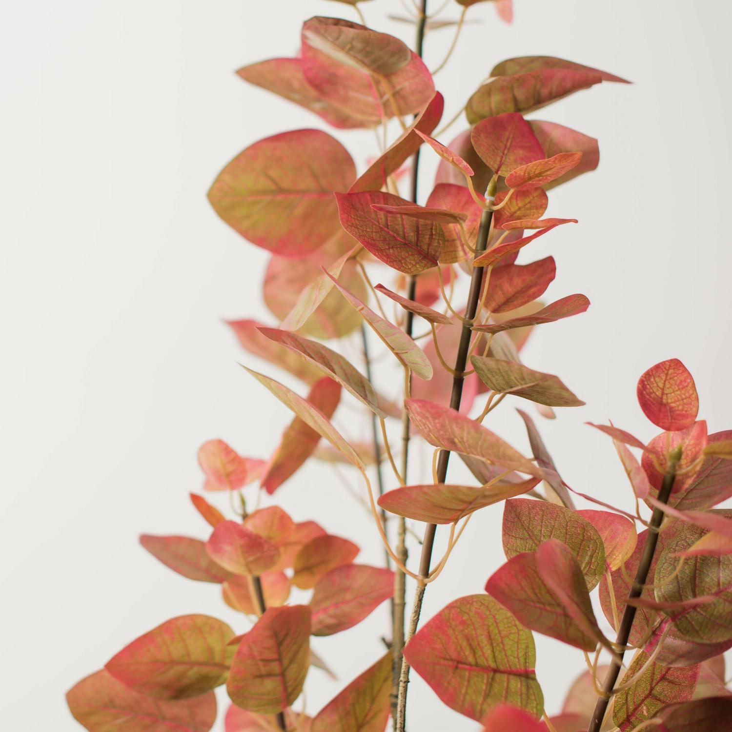 Vickerman 5' Artificial Red Potted Rogot Rurple Tree. - Image 6