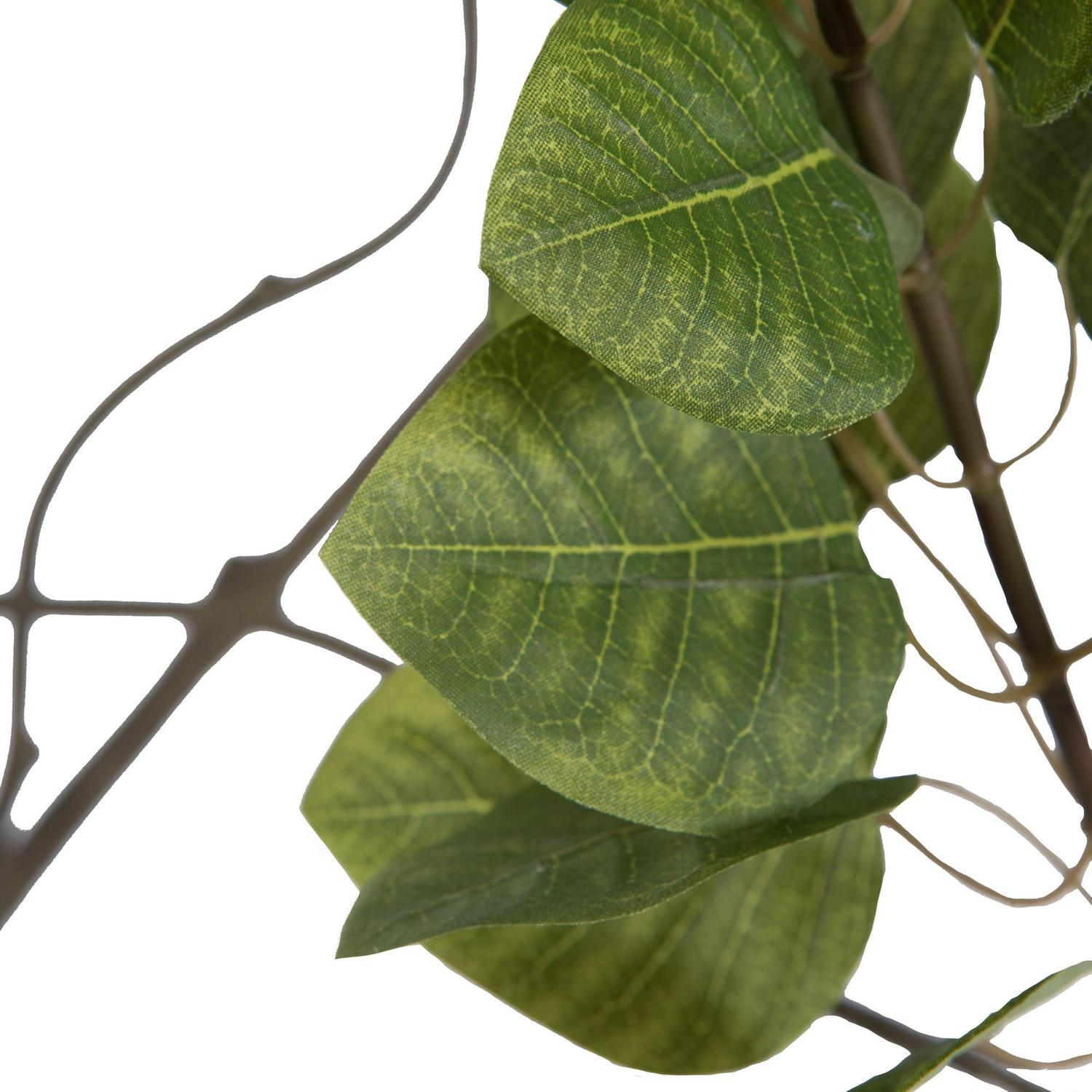 Vickerman 5' Artificial Green Potted Cotinus Coggygria Tree. - Image 4