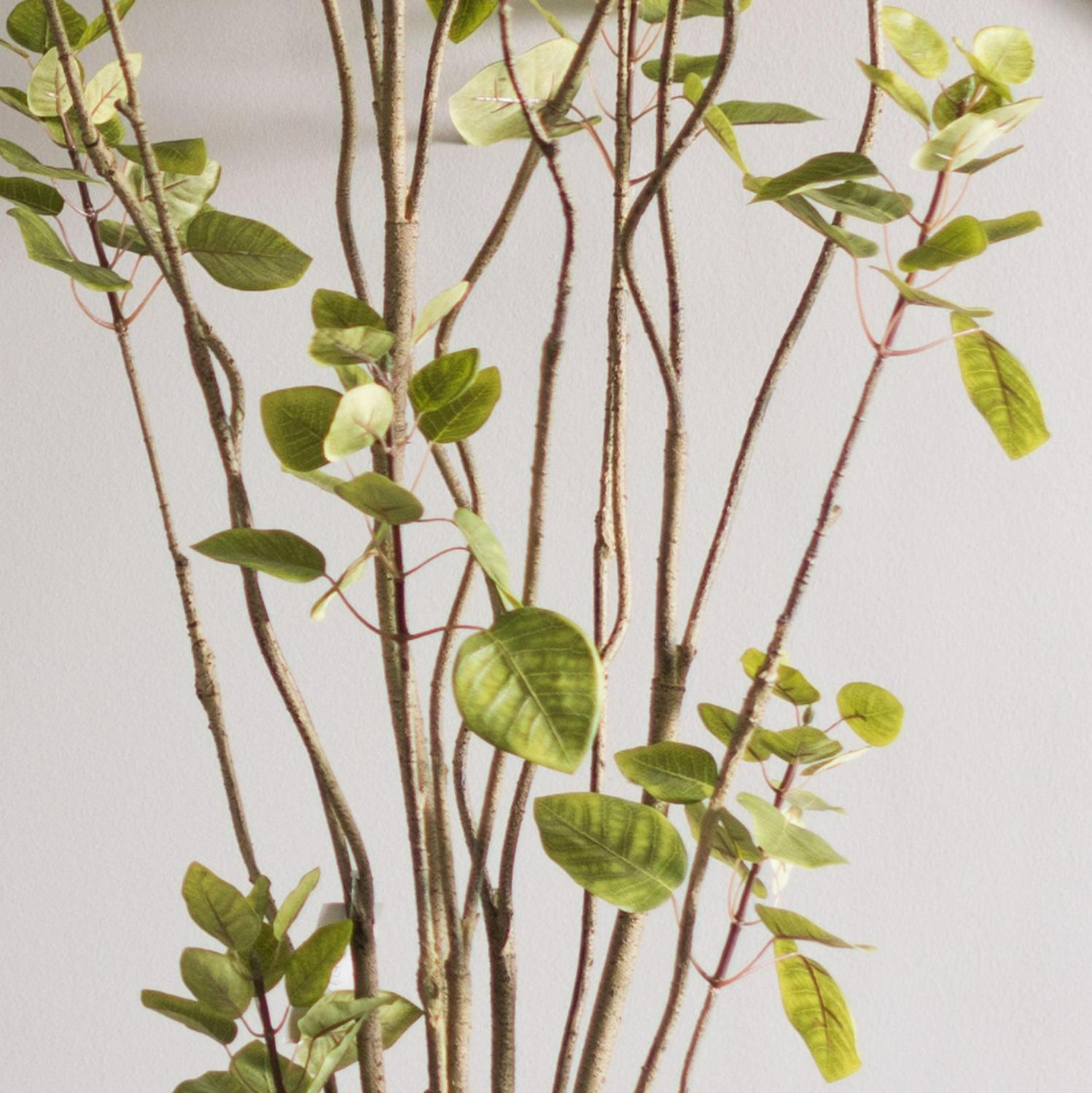 Vickerman 5' Artificial Green Potted Cotinus Coggygria Tree. - Image 5