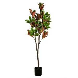 Vickerman 6' Artificial Green Magnolia Tree in Black Planters Pot.