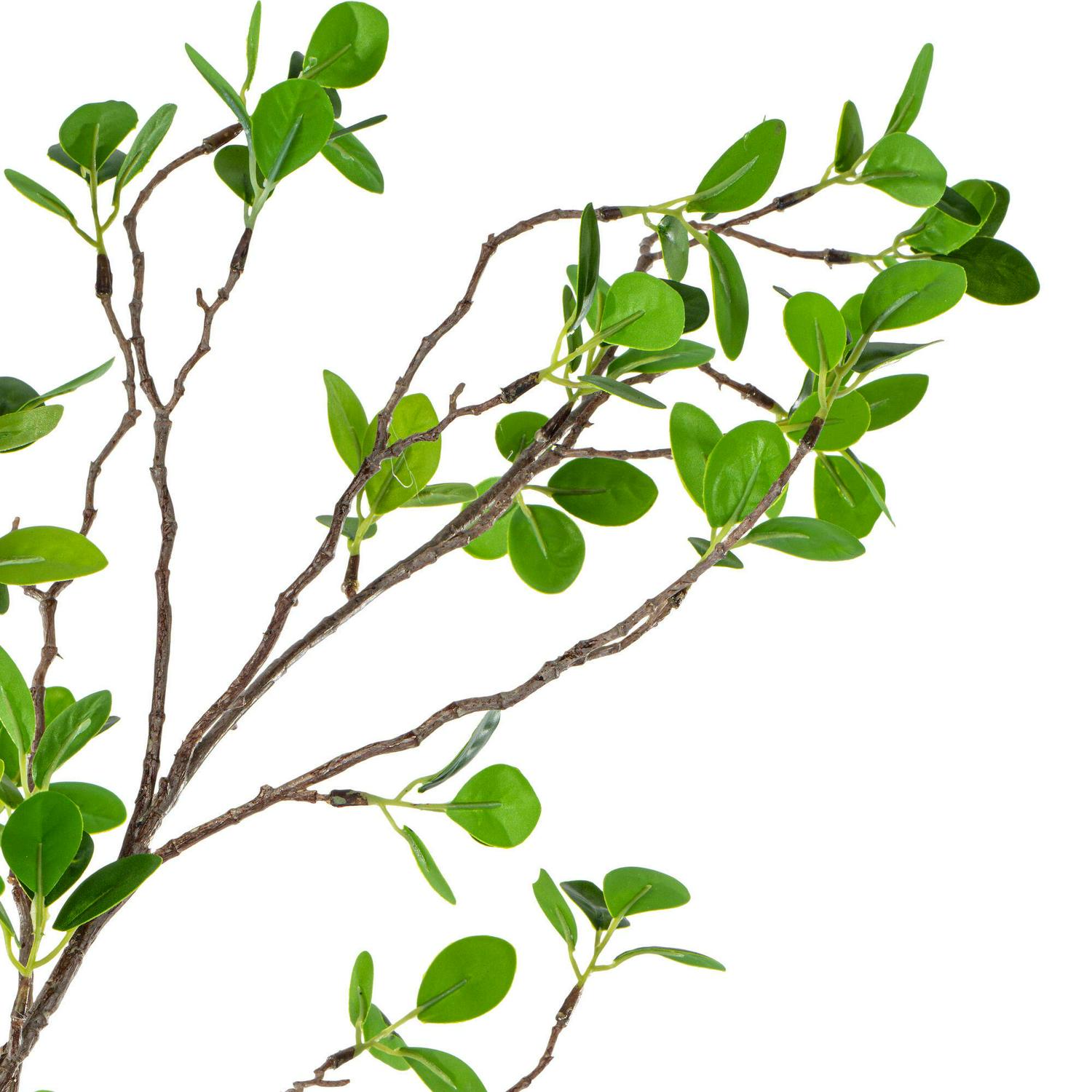 Vickerman 72" Artificial Milan Leaf Tree in Black Planters Pot. - Image 2