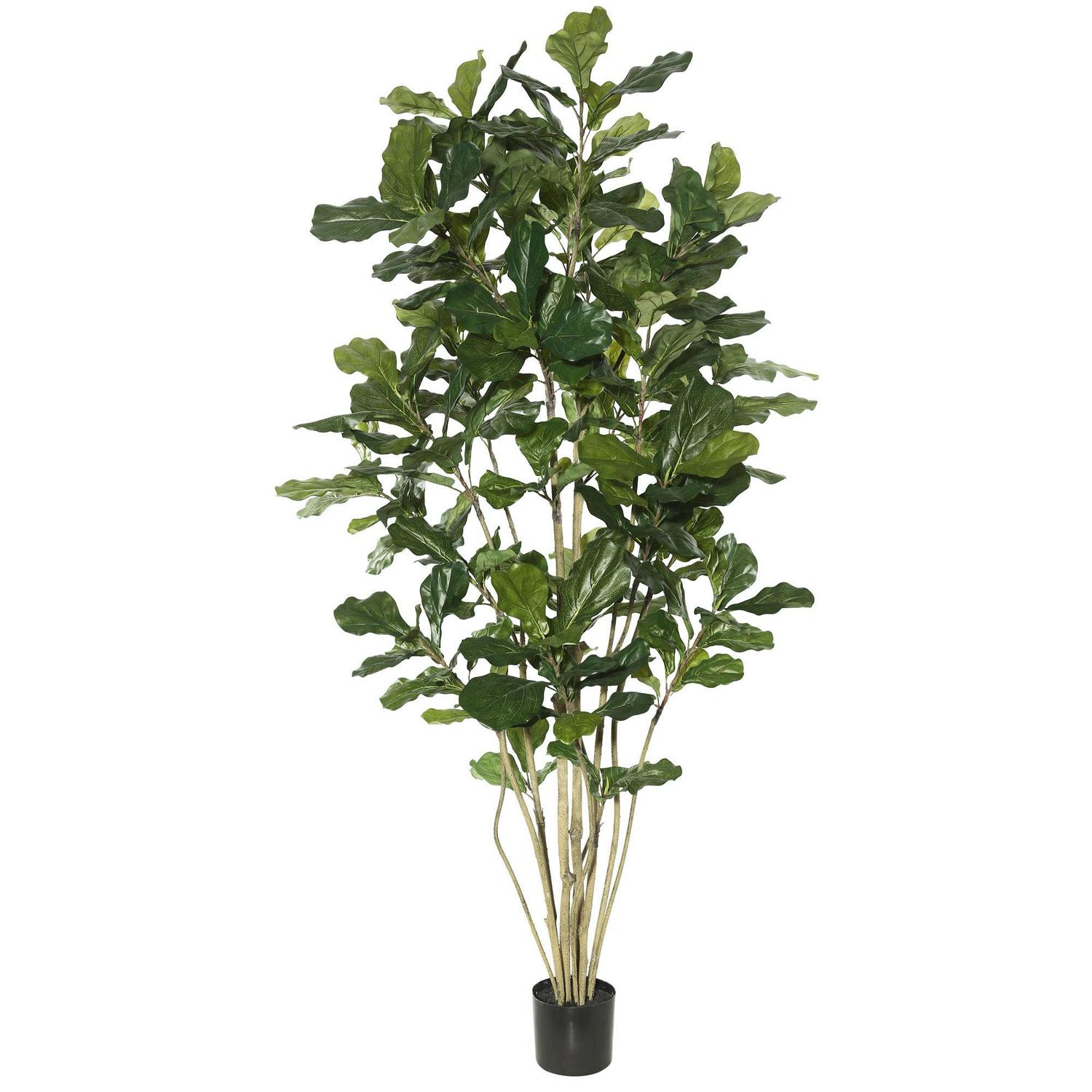 Vickerman 7' Artificial Green Potted Fiddle Tree.