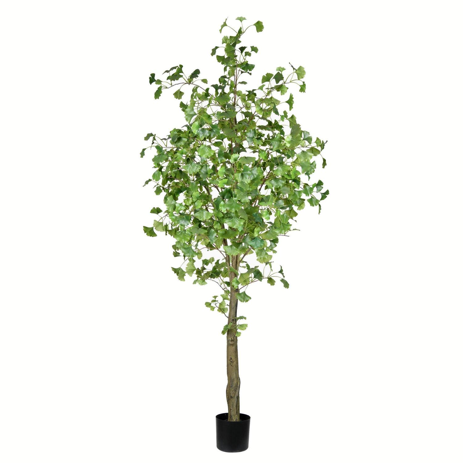 Vickerman 7' Artificial Potted Ginkgo Tree.