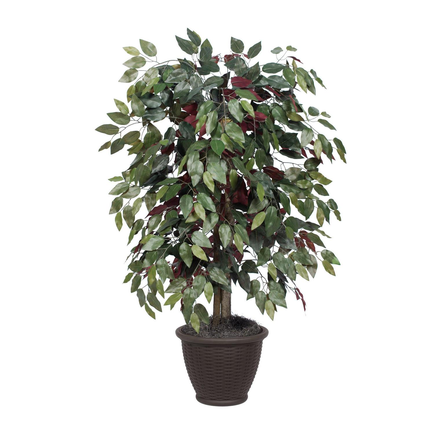Vickerman 4' Artificial Capensia Bush, Brown Plastic Container.