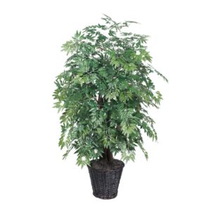 Vickerman 4' Artificial Ming Aralia Extra Full Bush, Rattan Basket