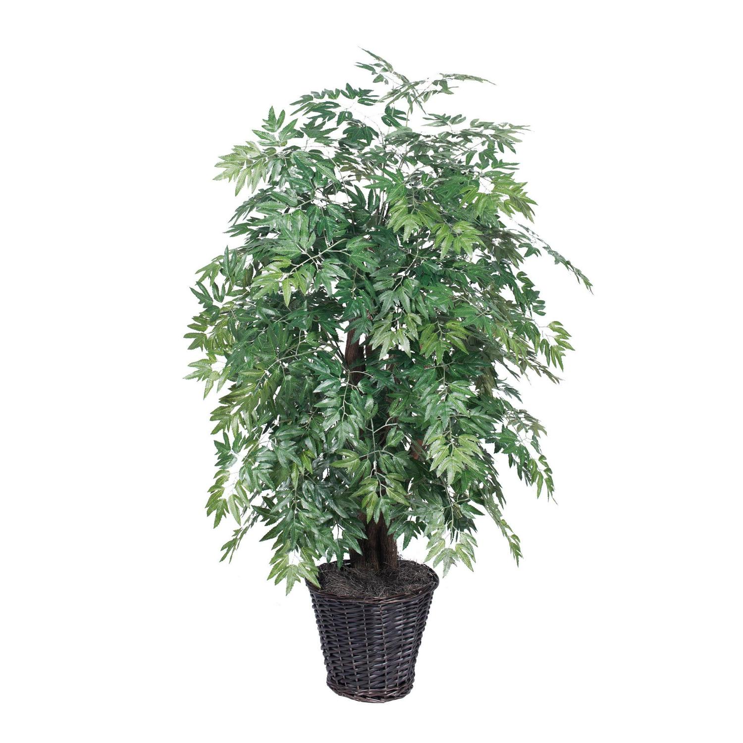 Vickerman 4' Artificial Ming Aralia Extra Full Bush, Rattan Basket