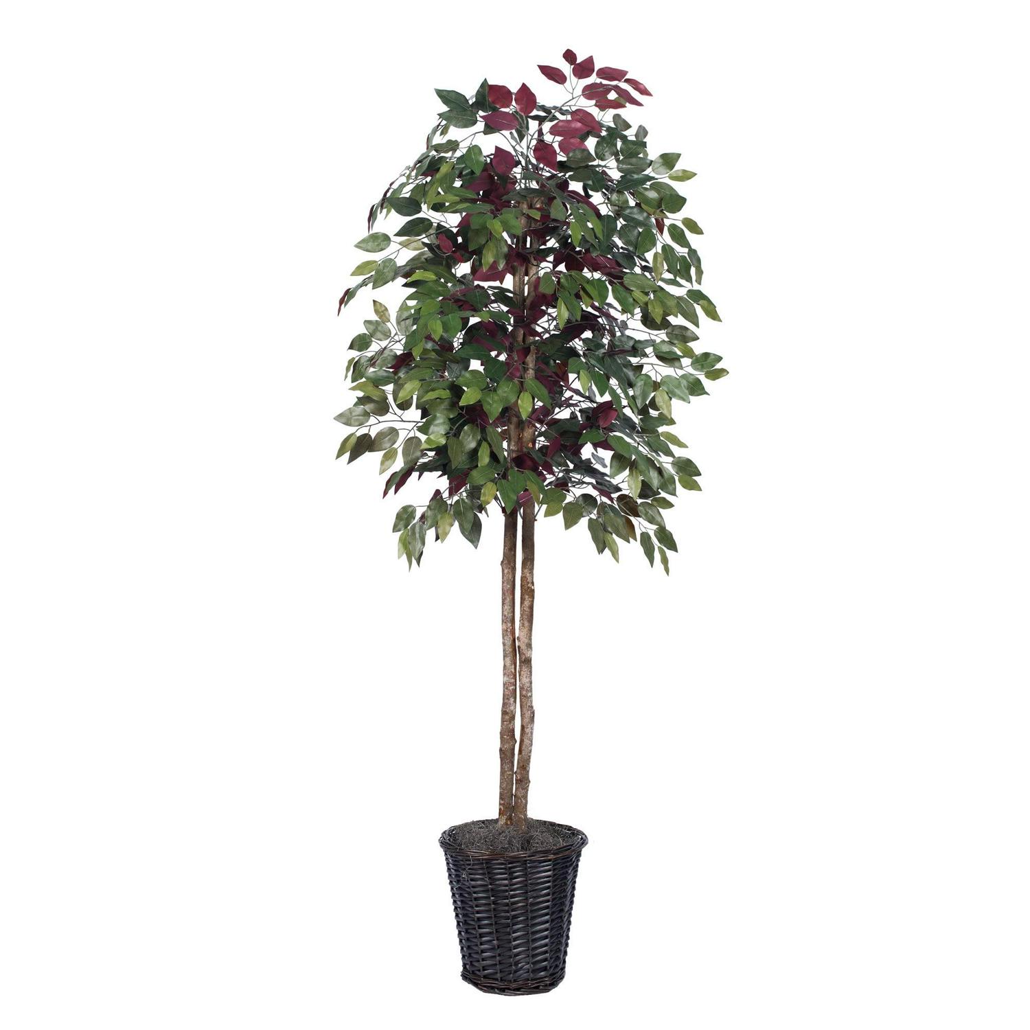Vickerman 6' Artificial Capensia, Rattan Basket