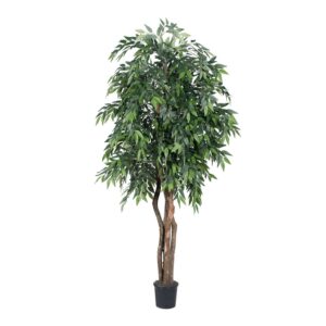 Vickerman Everyday 6' Indoor Artificial Green Smilax Executive Tree - Natural Dragonwood Trunks - Black Plastic potted - Maintenance Free