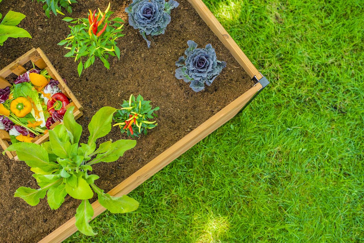 Vita Mezza 3' L x 5' W Cedar Keyhole Composting Garden, Golden Brown, VT17702 - Image 8