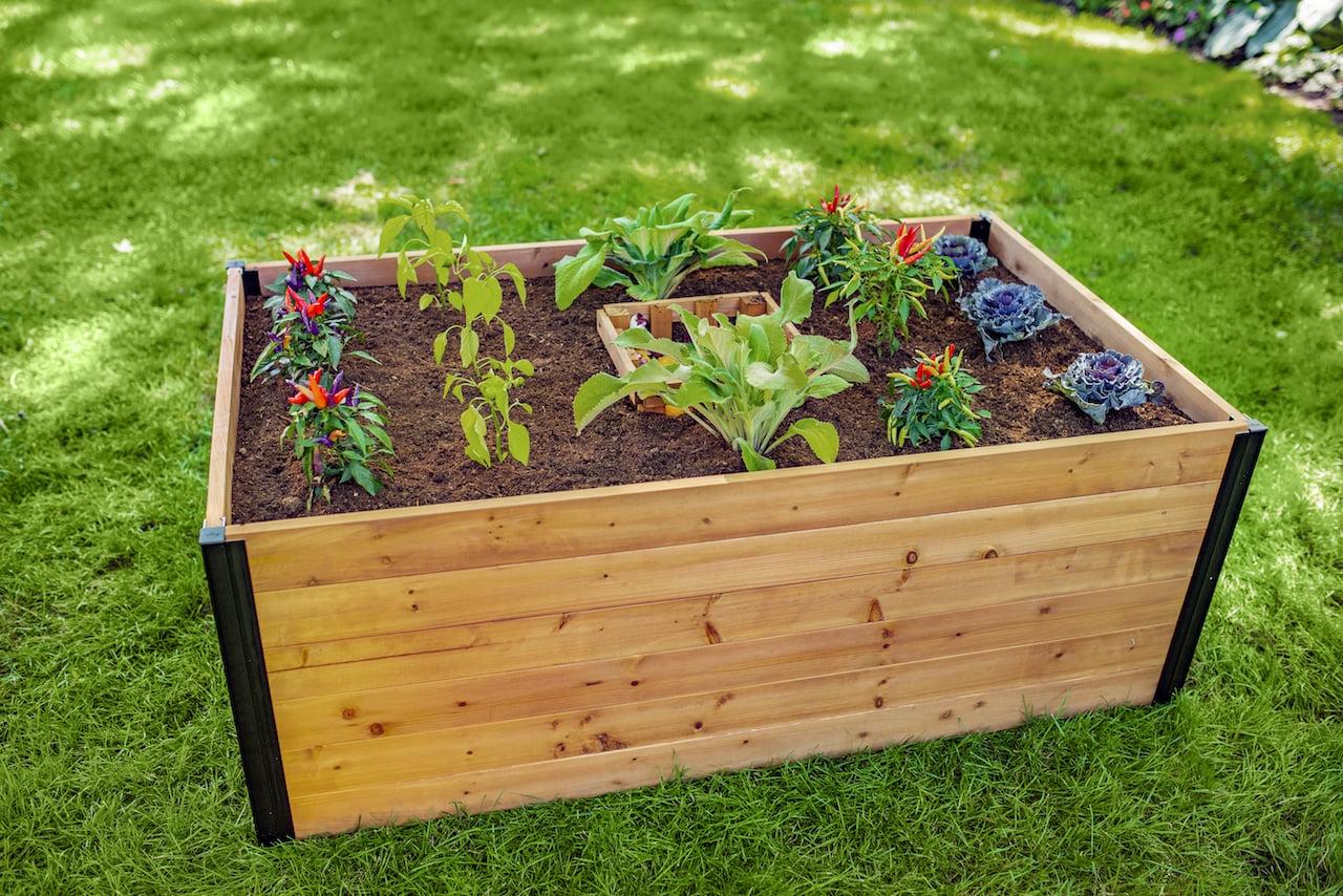 Vita Mezza 3' L x 5' W Cedar Keyhole Composting Garden, Golden Brown, VT17702 - Image 6