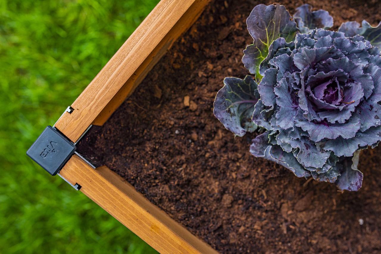 Vita Mezza 3' L x 5' W Cedar Keyhole Composting Garden, Golden Brown, VT17702 - Image 9