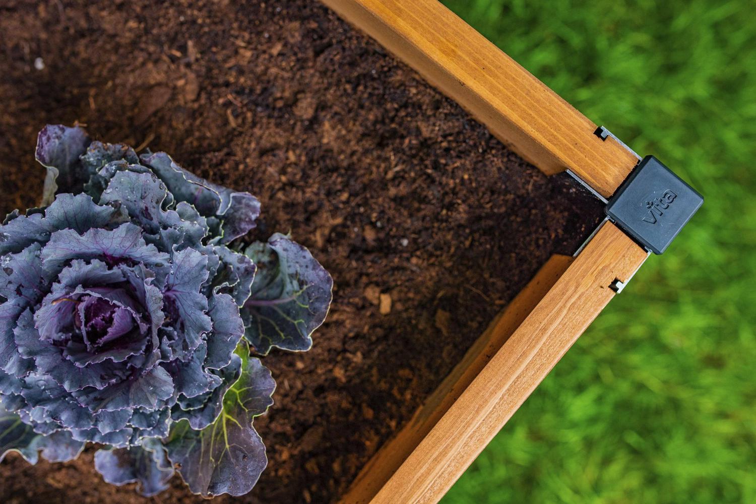 Vita Mezza 48 in L x 48 in W x 11 in H Cedar Raised Garden Bed, Golden Brown, VT17703 - Image 8