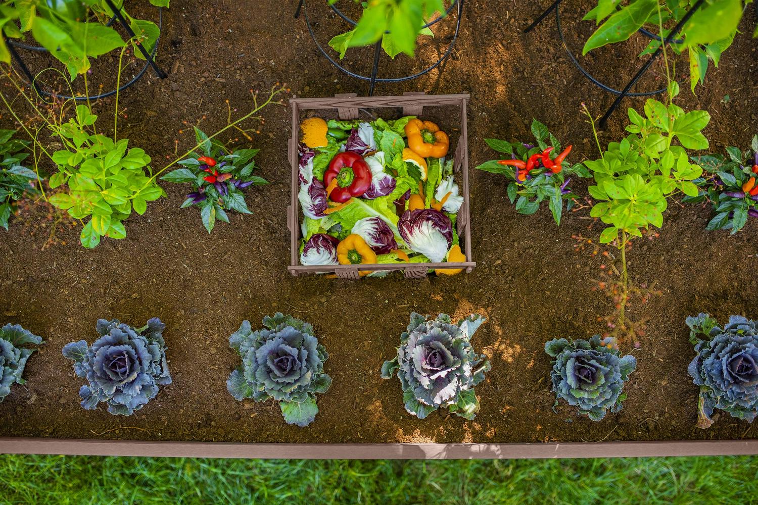 Vita Urbana 3'L x 5'W x 22"H Vinyl Keyhole Composting Garden,Espresso Brown, VT17502 - Image 2