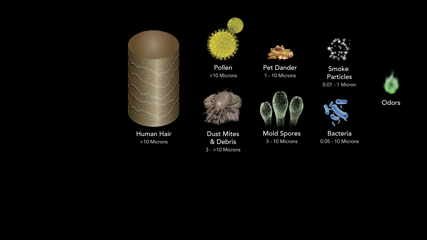 Vornado AC350 Whole Room Air Purifier with True HEPA Filtration, 135 Sq Ft Coverage, White - Image 6