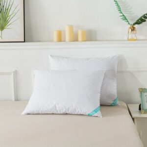 Waverly 300tc White Duck Down Pillow - Standard/Queen