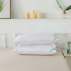 Waverly Twin Pack White Duck Feather Pillow - King