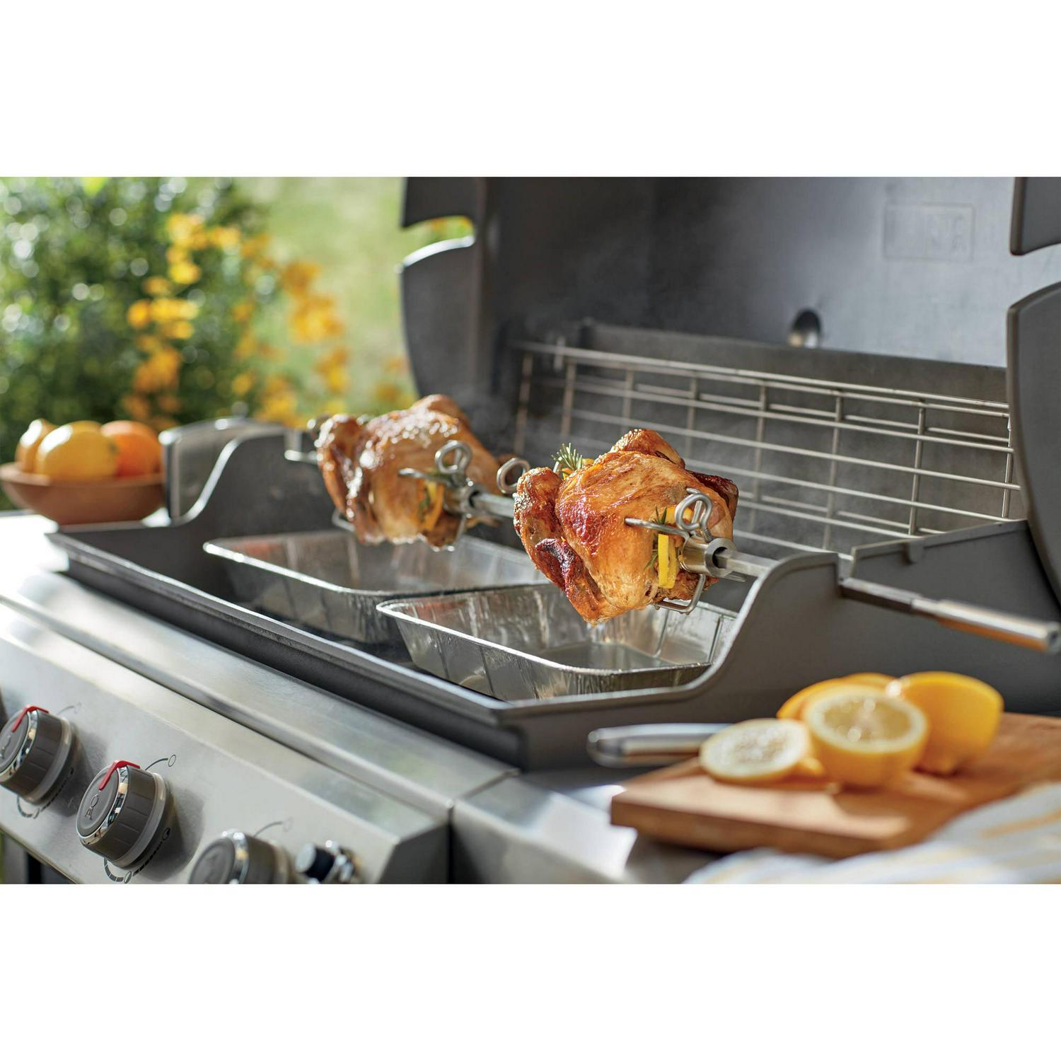 Rotisserie Genesis II 4B/6B - Image 6