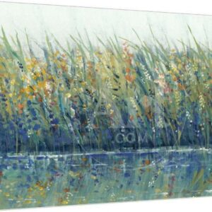 Wildflower Reflection I, Botanical Stretched Canvas Wall Art by Tim OToole Sold by ArtCom