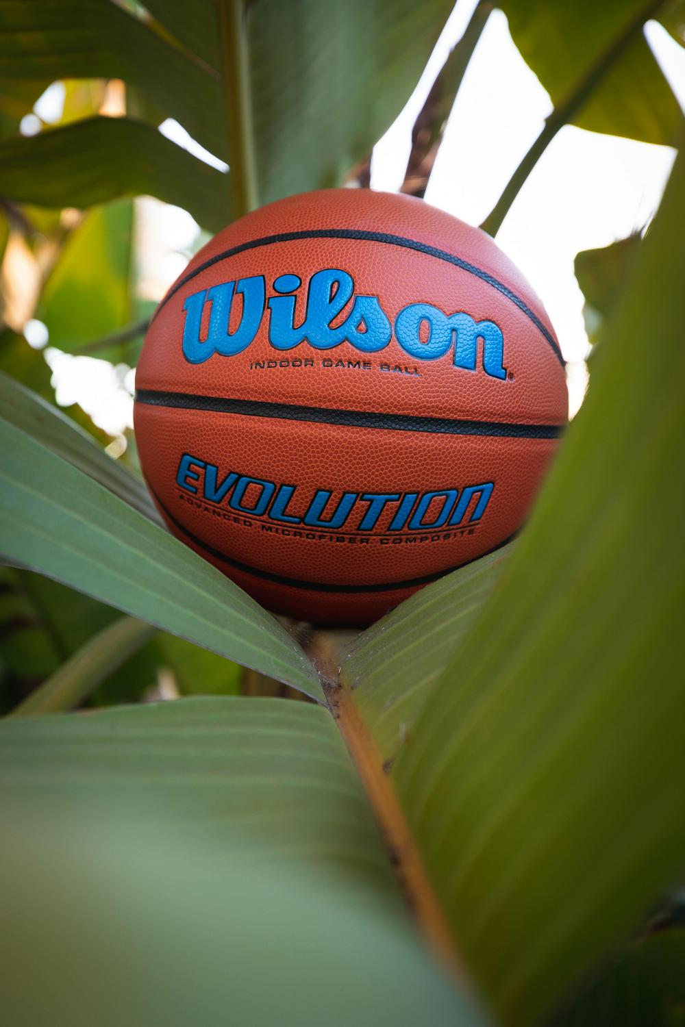 Wilson Evolution Indoor Game Basketball - Royal, Size 7 - 29.5" - Image 2