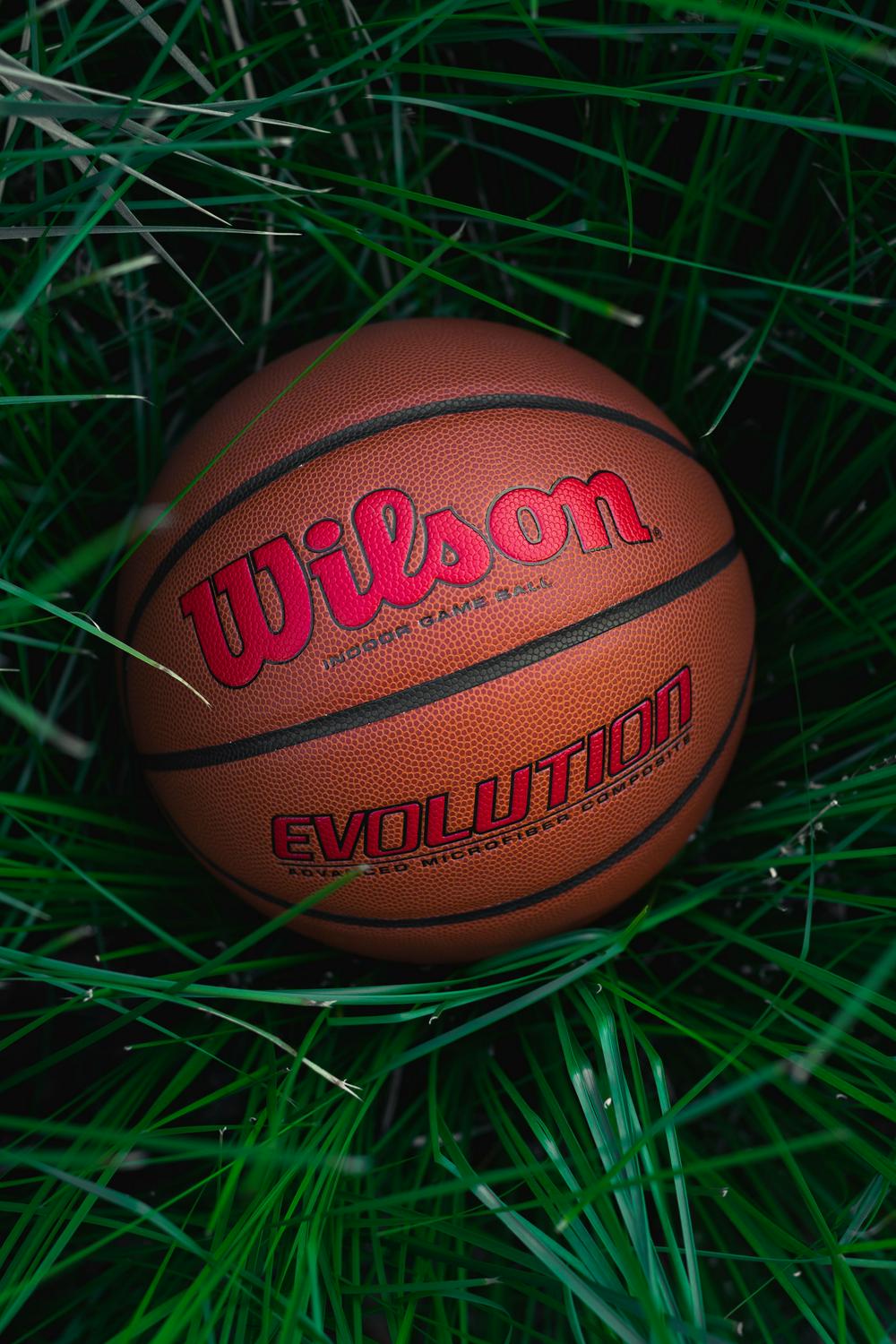 Wilson Evolution Indoor Game Basketball - Scarlet, Size 7 - 29.5" - Image 6