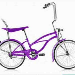 Wonder Wheels 20 In. Beach Cruiser Lowrider Coaster Brake Single Speed Bicycle, Bike With Banana Seat Stainless Steel Spokes One Piece Crank Alloy Rims 36 H - Purple