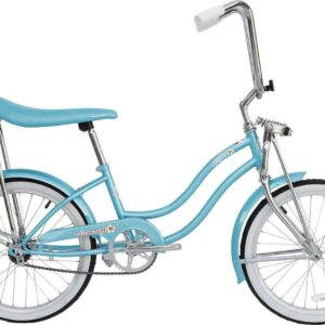 Wonder Wheels 20 Inch Women's Girls Beach Cruiser Lowrider Coaster Brake Single Speed Bicycle, Bike with Banana Seat Stainless Steel Spokes One Piece Crank Alloy Rims 36 H - Baby Blue