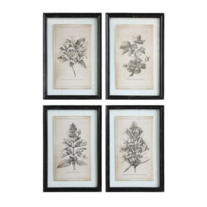 Creative Co-Op Wood Framed Wall Décor with Floral Images, Multicolor, Set of 4
