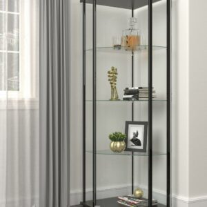 Zenobia Glass Shelf Curio Cabinet Clear and Black