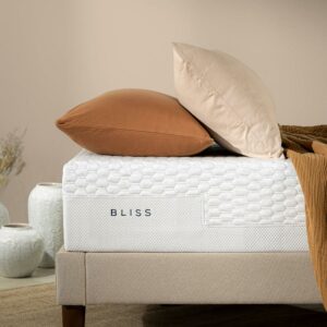 Zinus 10" Bliss Memory Foam Mattress, Made of US Foam and Global Materials, Adult, Queen