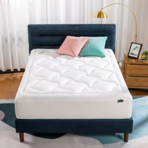 Zinus Cloud Queen Tight Top 12" Plush Memory Foam Mattress Pressure Relieving, Mattress in a Box