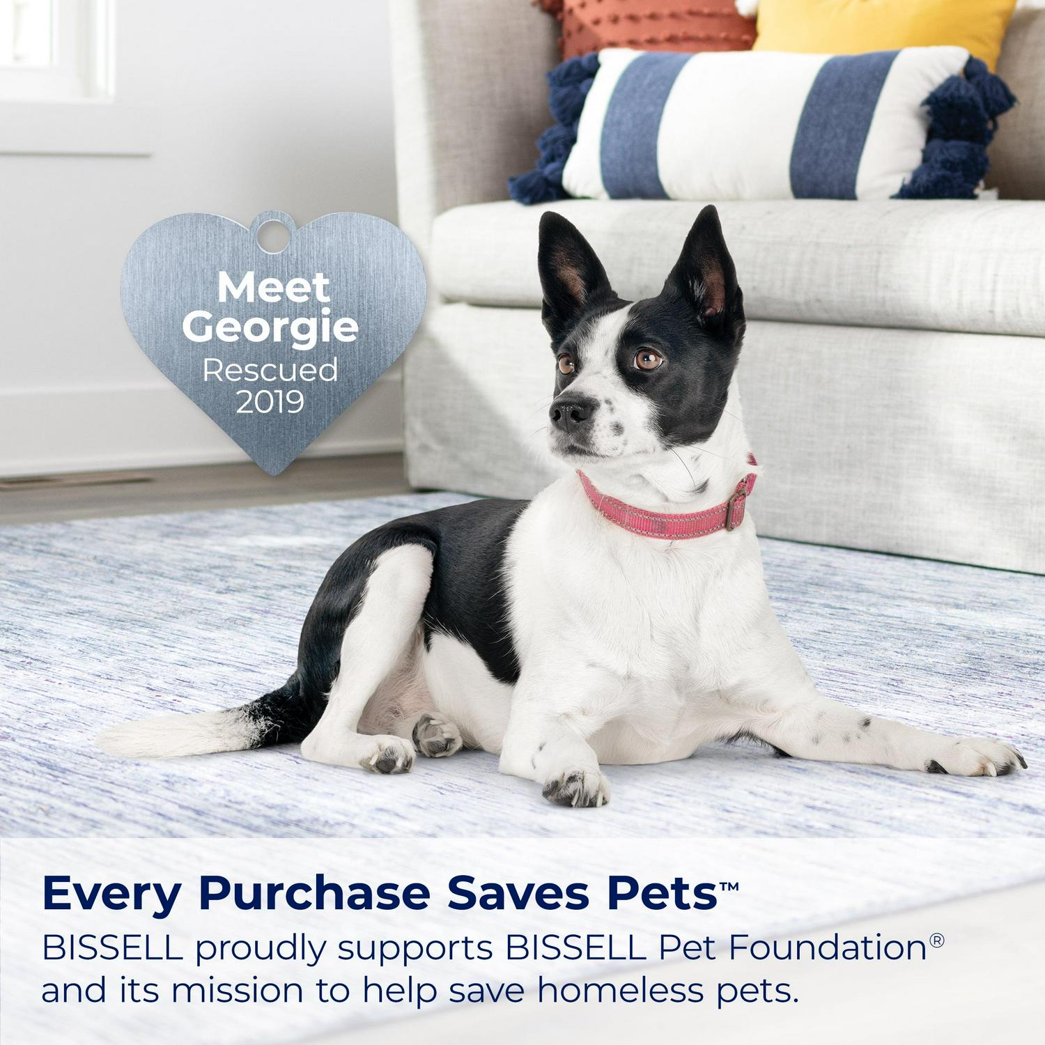 BISSELL Little Green HydroSteam Portable Deep Cleaner, for Carpet , Upholstery, Auto, and Stairs, HydroSteam Technology, 3 Cleaning Modes, Fast Drying, 3532, Black & Copper - Image 8