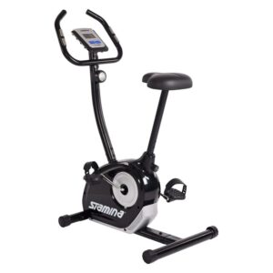 Stamina Magnetic Upright Exercise Bike 1310