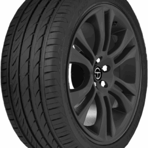 Delinte DH2 All Season P225/55R17 101W XL Passenger Tire Fits: 2016-19 Chevrolet Malibu Hybrid, 2011-13 Chevrolet Impala LT